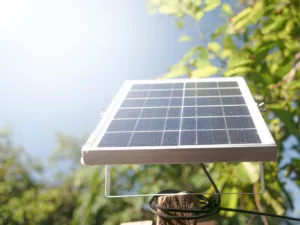 Small solar panels set on outdoor poles on a dog house. Find out more at doghousetimes.com.