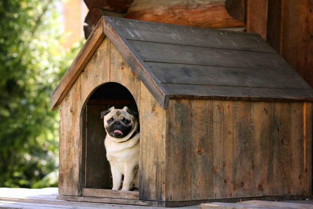 dog houses with heaters