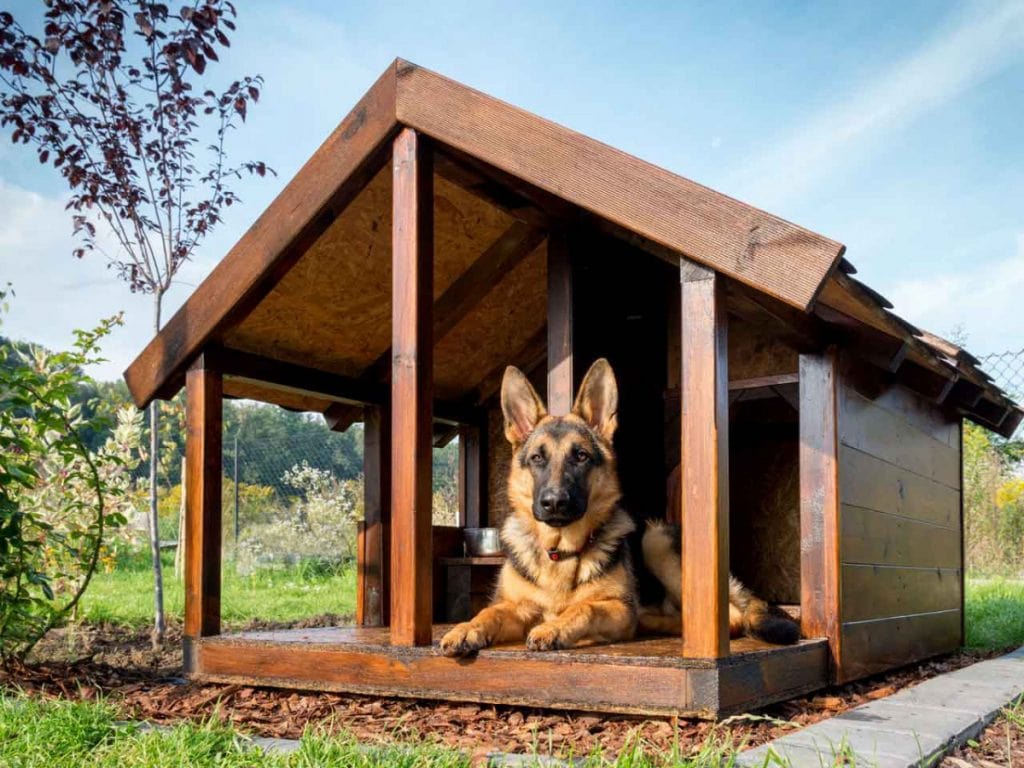 heated dog houses are hard to find