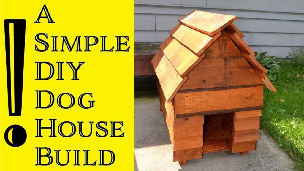 a wooden plank dog house Jeremy built